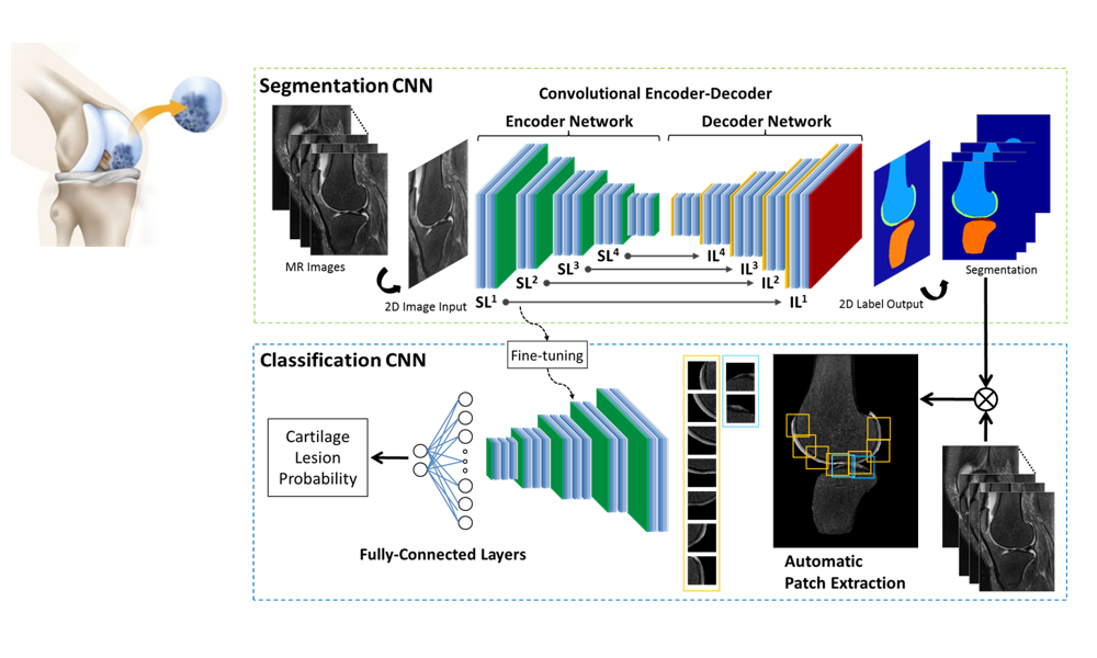 phd medical imaging